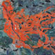 Google earth painting, clear cut.