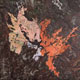 Google earth painting, clear cut North Quebec.